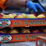 ΑΓΡΟΤΙΚΟΣ-ΣΥΝΕΤΑΙΡΙΣΜΟΣ-ΝΕΟΣ-ΑΠΟΛΛΩΝ-ΚΟΥΛΟΥΡΑΣ-ΒΕΡΟΙΑ