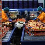 ΑΓΡΟΤΙΚΟΣ-ΣΥΝΕΤΑΙΡΙΣΜΟΣ-ΝΕΟΣ-ΑΠΟΛΛΩΝ-ΚΟΥΛΟΥΡΑΣ-ΒΕΡΟΙΑ