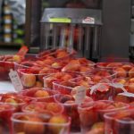 ΑΓΡΟΤΙΚΟΣ-ΣΥΝΕΤΑΙΡΙΣΜΟΣ-ΝΕΟΣ-ΑΠΟΛΛΩΝ-ΚΟΥΛΟΥΡΑΣ-ΒΕΡΟΙΑ