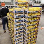 ΑΓΡΟΤΙΚΟΣ-ΣΥΝΕΤΑΙΡΙΣΜΟΣ-ΝΕΟΣ-ΑΠΟΛΛΩΝ-ΚΟΥΛΟΥΡΑΣ-ΒΕΡΟΙΑ