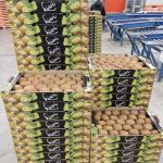 ΑΓΡΟΤΙΚΟΣ-ΣΥΝΕΤΑΙΡΙΣΜΟΣ-ΝΕΟΣ-ΑΠΟΛΛΩΝ-ΚΟΥΛΟΥΡΑΣ-ΒΕΡΟΙΑ