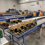 ΑΓΡΟΤΙΚΟΣ-ΣΥΝΕΤΑΙΡΙΣΜΟΣ-ΝΕΟΣ-ΑΠΟΛΛΩΝ-ΚΟΥΛΟΥΡΑΣ-ΒΕΡΟΙΑ