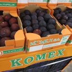 ΑΓΡΟΤΙΚΟΣ-ΣΥΝΕΤΑΙΡΙΣΜΟΣ-ΝΕΟΣ-ΑΠΟΛΛΩΝ-ΚΟΥΛΟΥΡΑΣ-ΒΕΡΟΙΑ