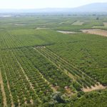 ΑΓΡΟΤΙΚΟΣ-ΣΥΝΕΤΑΙΡΙΣΜΟΣ-ΝΕΟΣ-ΑΠΟΛΛΩΝ-ΚΟΥΛΟΥΡΑΣ-ΒΕΡΟΙΑ