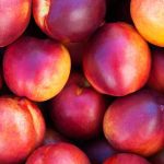 ΑΓΡΟΤΙΚΟΣ-ΣΥΝΕΤΑΙΡΙΣΜΟΣ-ΞΕΧΑΣΜΕΝΗΣ-ΗΜΑΘΙΑΣ