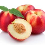 ΑΓΡΟΤΙΚΟΣ-ΣΥΝΕΤΑΙΡΙΣΜΟΣ-ΞΕΧΑΣΜΕΝΗΣ-ΗΜΑΘΙΑΣ