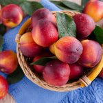 ΑΓΡΟΤΙΚΟΣ-ΣΥΝΕΤΑΙΡΙΣΜΟΣ-ΞΕΧΑΣΜΕΝΗΣ-ΗΜΑΘΙΑΣ