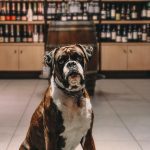 ΚΑΒΑ-ΠΟΤΩΝ-ΗΡΑΚΛΕΙΟ-ΚΡΗΤΗΣ-ΟΙΝΟΤΕΚΑ