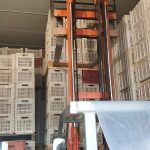 ΕΜΠΟΡΙΟ-ΦΡΟΥΤΩΝ-ΑΓΙΑ-ΠΑΡΑΣΚΕΥΗ-ΑΡΤΑΣ-ΔΗΜΟΣ-ΘΕΟΔΩΡΟΣ