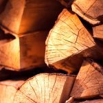 ΚΑΥΣΟΞΥΛΑ-ΚΑΛΑΜΑΡΙΑ-ΘΕΣΣΑΛΟΝΙΚΗΣ-ΦΟΙΤΑΣ-ΚΩΝΣΤΑΝΤΙΝΟΣ