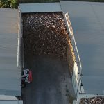 ΚΑΥΣΟΞΥΛΑ-ΚΑΛΑΜΑΡΙΑ-ΘΕΣΣΑΛΟΝΙΚΗΣ-ΦΟΙΤΑΣ-ΚΩΝΣΤΑΝΤΙΝΟΣ