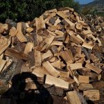 ΚΑΥΣΟΞΥΛΑ-ΚΑΡΒΟΥΝΑ-ΠΟΛΙΧΝΗ-ΘΕΣΣΑΛΟΝΙΚΗΣ-ΓΡΑΝΔΗΣ