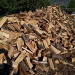 ΚΑΥΣΟΞΥΛΑ-ΚΑΡΒΟΥΝΑ-ΠΟΛΙΧΝΗ-ΘΕΣΣΑΛΟΝΙΚΗΣ-ΓΡΑΝΔΗΣ