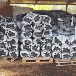 ΚΑΥΣΟΞΥΛΑ-ΚΑΡΒΟΥΝΑ-ΠΟΛΙΧΝΗ-ΘΕΣΣΑΛΟΝΙΚΗΣ-ΓΡΑΝΔΗΣ