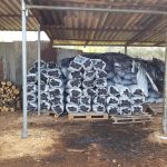 ΚΑΥΣΟΞΥΛΑ-ΚΑΡΒΟΥΝΑ-ΠΟΛΙΧΝΗ-ΘΕΣΣΑΛΟΝΙΚΗΣ-ΓΡΑΝΔΗΣ