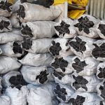 ΚΑΥΣΟΞΥΛΑ-ΚΑΡΒΟΥΝΑ-ΠΟΛΙΧΝΗ-ΘΕΣΣΑΛΟΝΙΚΗΣ-ΓΡΑΝΔΗΣ