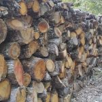 ΚΑΥΣΟΞΥΛΑ-PELLET-ΚΑΣΤΟΡΙΑ-TSOULOUFAS-WOOD