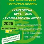 ΚΑΥΣΟΞΥΛΑ-PELLET-ΚΑΣΤΟΡΙΑ-TSOULOUFAS-WOOD