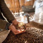 ΚΑΥΣΟΞΥΛΑ-PELLET-ΚΑΣΤΟΡΙΑ-TSOULOUFAS-WOOD