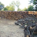 ΚΑΥΣΟΞΥΛΑ-ΤΑΞΙΑΡΧΗΣ-ΧΑΛΚΙΔΙΚΗΣ-ΤΣΟΛΑΚΗΣ