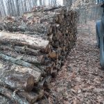 ΚΑΥΣΟΞΥΛΑ-ΤΑΞΙΑΡΧΗΣ-ΧΑΛΚΙΔΙΚΗΣ-ΤΣΟΛΑΚΗΣ