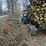 ΚΑΥΣΟΞΥΛΑ-ΤΑΞΙΑΡΧΗΣ-ΧΑΛΚΙΔΙΚΗΣ-ΤΣΟΛΑΚΗΣ