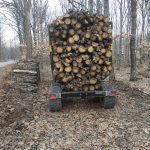 ΚΑΥΣΟΞΥΛΑ-ΤΑΞΙΑΡΧΗΣ-ΧΑΛΚΙΔΙΚΗΣ-ΤΣΟΛΑΚΗΣ