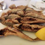 ΜΕΖΕΔΟΠΩΛΕΙΟ-ΚΑΡΔΙΤΣΑ-ΚΟΧΥΛΙ-ΔΗΜΟΣ