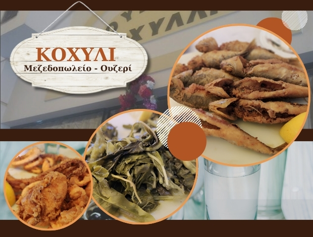 ΜΕΖΕΔΟΠΩΛΕΙΟ ΚΑΡΔΙΤΣΑ “ΚΟΧΥΛΙ” ΔΗΜΟΣ ΠΕΤΡΟΣ