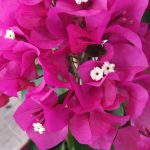 INTERNET-CAFE-ΨΗΣΤΑΡΙΑ-ΑΜΠΕΛΙΚΟ-ΚΑΡΔΙΤΣΑΣ-ΜΠΑΛΑΦΑΣ