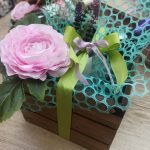 ΚΑΒΑ-ΠΟΤΩΝ-ΒΕΛΕΣΤΙΝΟ-ΝΙΜΠΗΣ-ΓΕΩΡΓΙΟΣ