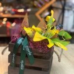 ΚΑΒΑ-ΠΟΤΩΝ-ΒΕΛΕΣΤΙΝΟ-ΝΙΜΠΗΣ-ΓΕΩΡΓΙΟΣ