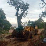 ΧΩΜΑΤΟΥΡΓΙΚΕΣ-ΕΡΓΑΣΙΕΣ-ΚΡΑΝΙΔΙ-ΚΑΛΛΗΣ-ΑΝΑΡΓΥΡΟΣ