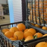ΕΜΠΟΡΙΟ-ΟΠΩΡΟΚΗΠΕΥΤΙΚΩΝ-ΡΕΝΤΗΣ-ΚΥΡΙΑΚΟΥΛΗΣ-FRESH-MARKET