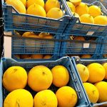 ΕΜΠΟΡΙΟ-ΟΠΩΡΟΚΗΠΕΥΤΙΚΩΝ-ΡΕΝΤΗΣ-ΚΥΡΙΑΚΟΥΛΗΣ-FRESH-MARKET