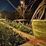 ΕΣΤΙΑΤΟΡΙΟ-ΠΕΤΡΩΤΟ-ΠΑΤΡΩΝ-ΑΛΛΑ-ΚΟΛΠΑ-ΠΑΠΑΓΙΑΝΝΟΠΟΥΛΟΥ