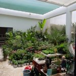 ΓΕΩΡΓΙΚΑ-ΕΦΟΔΙΑ-ΠΑΡΟΙΚΙΑ-ΠΑΡΟΣ-ΠΕΡΙΠΑΝΟΣ