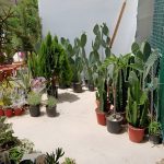 ΓΕΩΡΓΙΚΑ-ΕΦΟΔΙΑ-ΠΑΡΟΙΚΙΑ-ΠΑΡΟΣ-ΠΕΡΙΠΑΝΟΣ