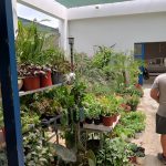 ΓΕΩΡΓΙΚΑ-ΕΦΟΔΙΑ-ΠΑΡΟΙΚΙΑ-ΠΑΡΟΣ-ΠΕΡΙΠΑΝΟΣ