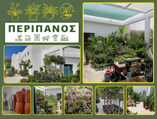 ΓΕΩΡΓΙΚΑ ΕΦΟΔΙΑ ΠΑΡΟΣ ΠΕΡΙΠΑΝΟΣ ΒΑΣΙΛΕΙΟΣ