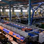 ΧΟΝΔΡΙΚΟ-ΕΜΠΟΡΙΟ-ΦΡΟΥΤΩΝ-ΛΕΧΑΙΝΑ-AGROFRUT-HELLAS-ABEE