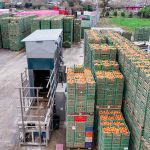 ΧΟΝΔΡΙΚΟ-ΕΜΠΟΡΙΟ-ΦΡΟΥΤΩΝ-ΛΕΧΑΙΝΑ-AGROFRUT-HELLAS-ABEE