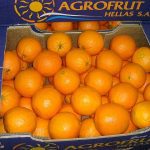 ΧΟΝΔΡΙΚΟ-ΕΜΠΟΡΙΟ-ΦΡΟΥΤΩΝ-ΛΕΧΑΙΝΑ-AGROFRUT-HELLAS-ABEE