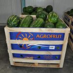 ΧΟΝΔΡΙΚΟ-ΕΜΠΟΡΙΟ-ΦΡΟΥΤΩΝ-ΛΕΧΑΙΝΑ-AGROFRUT-HELLAS-ABEE