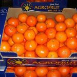 ΧΟΝΔΡΙΚΟ-ΕΜΠΟΡΙΟ-ΦΡΟΥΤΩΝ-ΛΕΧΑΙΝΑ-AGROFRUT-HELLAS-ABEE