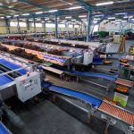 ΧΟΝΔΡΙΚΟ-ΕΜΠΟΡΙΟ-ΦΡΟΥΤΩΝ-ΛΕΧΑΙΝΑ-AGROFRUT-HELLAS-ABEE