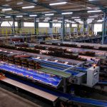 ΧΟΝΔΡΙΚΟ-ΕΜΠΟΡΙΟ-ΦΡΟΥΤΩΝ-ΛΕΧΑΙΝΑ-AGROFRUT-HELLAS-ABEE