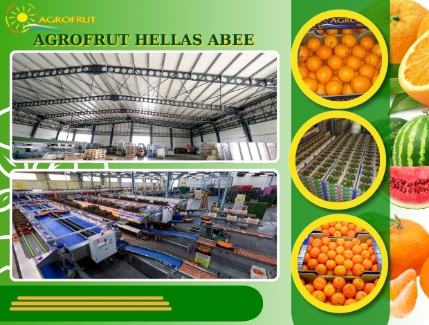 ΧΟΝΔΡΙΚΟ ΕΜΠΟΡΙΟ ΦΡΟΥΤΩΝ ΛΕΧΑΙΝΑ AGROFRUT HELLAS ABEE