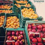 ΧΟΝΔΡΙΚΟ-ΕΜΠΟΡΙΟ-ΦΡΟΥΤΩΝ-ΛΑΧΑΝΙΚΩΝ-ΝΕΑ-ΣΕΛΕΥΚΕΙΑ-ΠΑΠΠΑΣ
