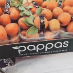 ΧΟΝΔΡΙΚΟ-ΕΜΠΟΡΙΟ-ΦΡΟΥΤΩΝ-ΛΑΧΑΝΙΚΩΝ-ΝΕΑ-ΣΕΛΕΥΚΕΙΑ-ΠΑΠΠΑΣ